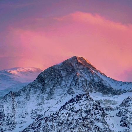 Le Chalet Mont Blanc Les Houches Ngoại thất bức ảnh